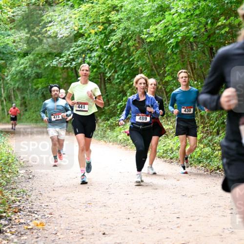 11.10.2026 - Bramfelder Halbmarathon 2026 Dr. Thomas Lammeyer http://msf.ph/oto/10817008 11.10.2026 09:55:18 Laufen 473, 441, 430, 489, 356 meine-sportfotos.de