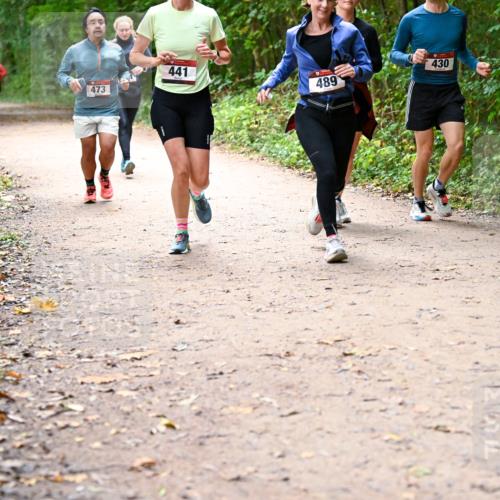 11.10.2026 - Bramfelder Halbmarathon 2026 Dr. Thomas Lammeyer http://msf.ph/oto/10817014 11.10.2026 09:55:19 Laufen 473, 441, 489, 430 meine-sportfotos.de