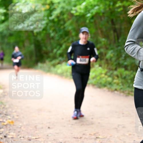 11.10.2026 - Bramfelder Halbmarathon 2026 Dr. Thomas Lammeyer http://msf.ph/oto/10817122 11.10.2026 09:56:06 Laufen 35, 1, 358 meine-sportfotos.de