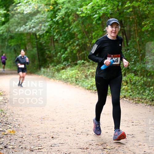 11.10.2026 - Bramfelder Halbmarathon 2026 Dr. Thomas Lammeyer http://msf.ph/oto/10817125 11.10.2026 09:56:06 Laufen 5 meine-sportfotos.de