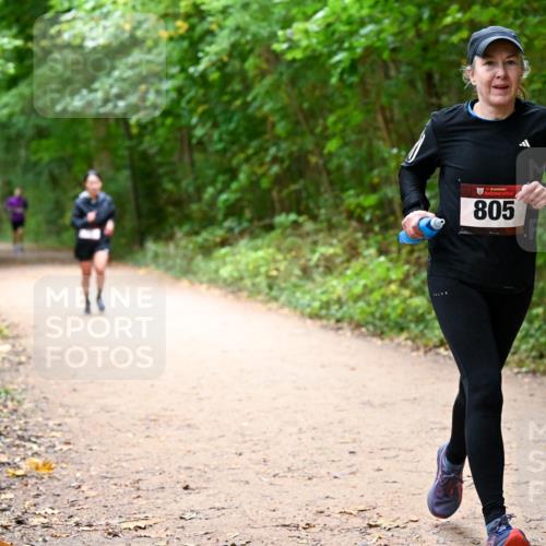 11.10.2026 - Bramfelder Halbmarathon 2026 Dr. Thomas Lammeyer http://msf.ph/oto/10817128 11.10.2026 09:56:07 Laufen 35, 805 meine-sportfotos.de