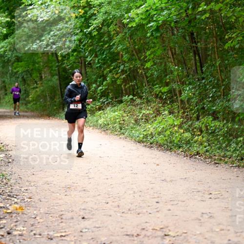 11.10.2026 - Bramfelder Halbmarathon 2026 Dr. Thomas Lammeyer http://msf.ph/oto/10817134 11.10.2026 09:56:08 Laufen 12 meine-sportfotos.de