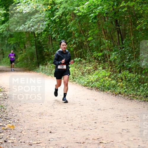 11.10.2026 - Bramfelder Halbmarathon 2026 Dr. Thomas Lammeyer http://msf.ph/oto/10817139 11.10.2026 09:56:09 Laufen 12 meine-sportfotos.de