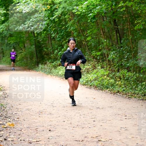 11.10.2026 - Bramfelder Halbmarathon 2026 Dr. Thomas Lammeyer http://msf.ph/oto/10817142 11.10.2026 09:56:09 Laufen 12 meine-sportfotos.de