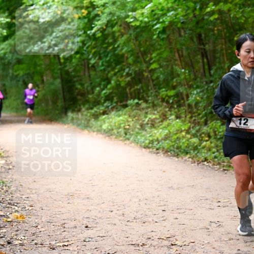 11.10.2026 - Bramfelder Halbmarathon 2026 Dr. Thomas Lammeyer http://msf.ph/oto/10817153 11.10.2026 09:56:11 Laufen 12 meine-sportfotos.de