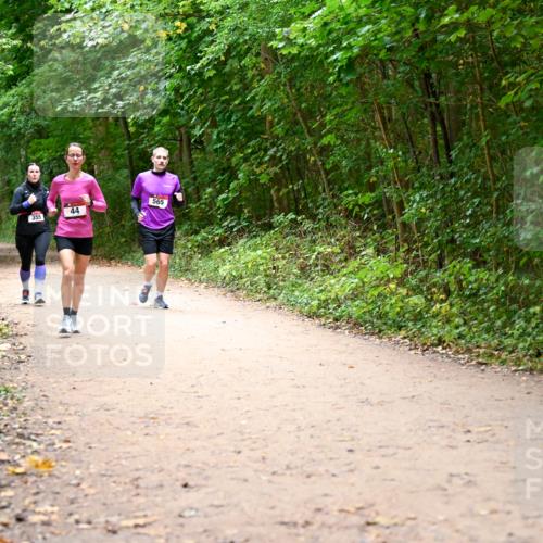 11.10.2026 - Bramfelder Halbmarathon 2026 Dr. Thomas Lammeyer http://msf.ph/oto/10817154 11.10.2026 09:56:16 Laufen 355, 565, 44 meine-sportfotos.de