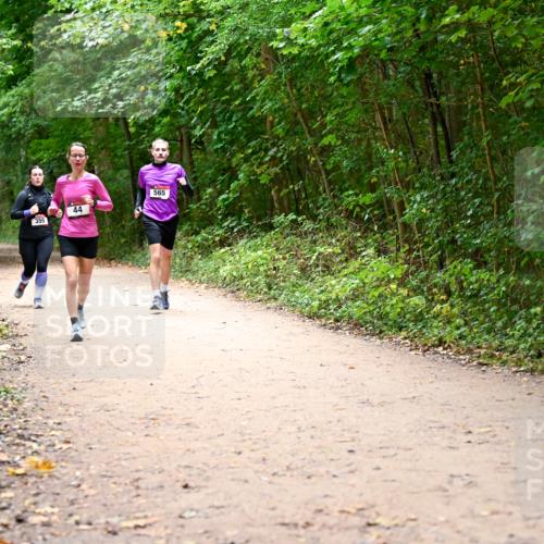 11.10.2026 - Bramfelder Halbmarathon 2026 Dr. Thomas Lammeyer http://msf.ph/oto/10817155 11.10.2026 09:56:16 Laufen 355, 565, 44 meine-sportfotos.de