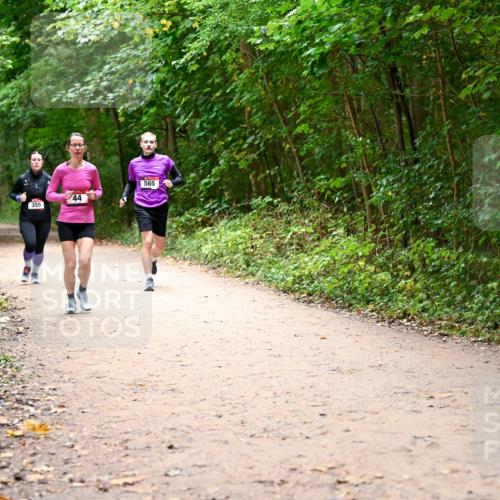 11.10.2026 - Bramfelder Halbmarathon 2026 Dr. Thomas Lammeyer http://msf.ph/oto/10817156 11.10.2026 09:56:16 Laufen 355, 44, 565 meine-sportfotos.de
