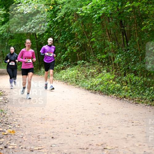 11.10.2026 - Bramfelder Halbmarathon 2026 Dr. Thomas Lammeyer http://msf.ph/oto/10817158 11.10.2026 09:56:17 Laufen 355, 565 meine-sportfotos.de