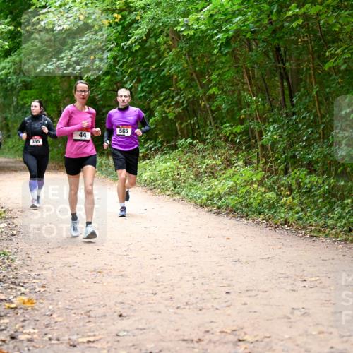 11.10.2026 - Bramfelder Halbmarathon 2026 Dr. Thomas Lammeyer http://msf.ph/oto/10817161 11.10.2026 09:56:17 Laufen 355, 44, 565 meine-sportfotos.de