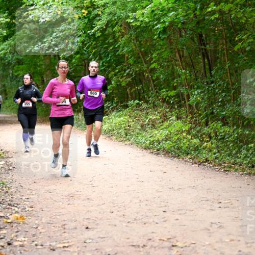 11.10.2026 - Bramfelder Halbmarathon 2026 Dr. Thomas Lammeyer http://msf.ph/oto/10817162 11.10.2026 09:56:17 Laufen 355, 565 meine-sportfotos.de