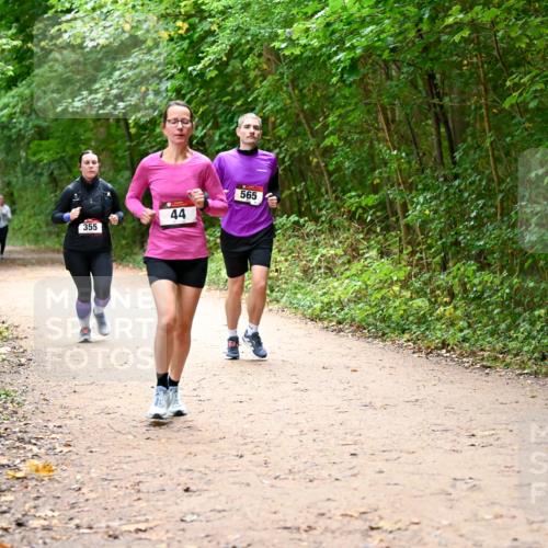 11.10.2026 - Bramfelder Halbmarathon 2026 Dr. Thomas Lammeyer http://msf.ph/oto/10817166 11.10.2026 09:56:18 Laufen 355, 44, 565 meine-sportfotos.de