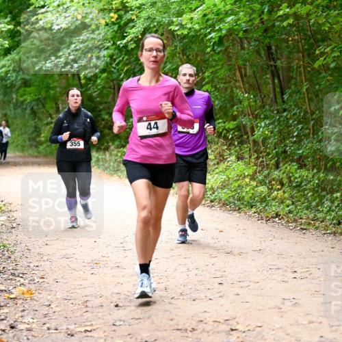 11.10.2026 - Bramfelder Halbmarathon 2026 Dr. Thomas Lammeyer http://msf.ph/oto/10817171 11.10.2026 09:56:19 Laufen 355, 44 meine-sportfotos.de