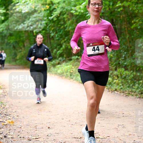 11.10.2026 - Bramfelder Halbmarathon 2026 Dr. Thomas Lammeyer http://msf.ph/oto/10817176 11.10.2026 09:56:20 Laufen 355, 44 meine-sportfotos.de