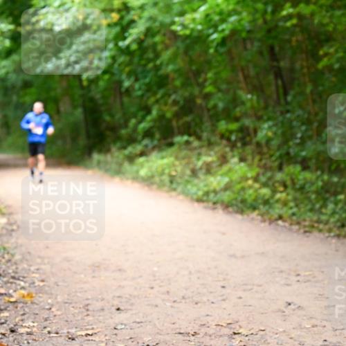 11.10.2026 - Bramfelder Halbmarathon 2026 Dr. Thomas Lammeyer http://msf.ph/oto/10817220 11.10.2026 09:56:32 Laufen  meine-sportfotos.de