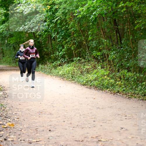 11.10.2026 - Bramfelder Halbmarathon 2026 Dr. Thomas Lammeyer http://msf.ph/oto/10817254 11.10.2026 09:56:43 Laufen 495, 625 meine-sportfotos.de