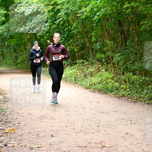 11.10.2026 - Bramfelder Halbmarathon 2026 Dr. Thomas Lammeyer http://msf.ph/oto/10817263 11.10.2026 09:56:45 Laufen 495, 625 meine-sportfotos.de