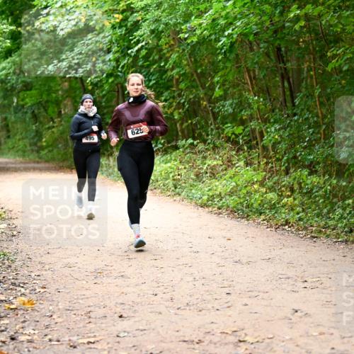11.10.2026 - Bramfelder Halbmarathon 2026 Dr. Thomas Lammeyer http://msf.ph/oto/10817264 11.10.2026 09:56:45 Laufen 495, 625 meine-sportfotos.de