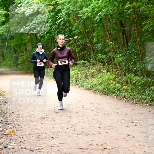 11.10.2026 - Bramfelder Halbmarathon 2026 Dr. Thomas Lammeyer http://msf.ph/oto/10817265 11.10.2026 09:56:45 Laufen 495, 625 meine-sportfotos.de