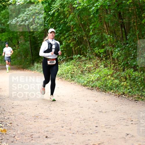 11.10.2026 - Bramfelder Halbmarathon 2026 Dr. Thomas Lammeyer http://msf.ph/oto/10817301 11.10.2026 09:56:58 Laufen 493 meine-sportfotos.de