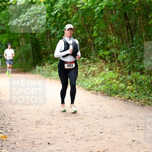 11.10.2026 - Bramfelder Halbmarathon 2026 Dr. Thomas Lammeyer http://msf.ph/oto/10817305 11.10.2026 09:56:59 Laufen 493 meine-sportfotos.de