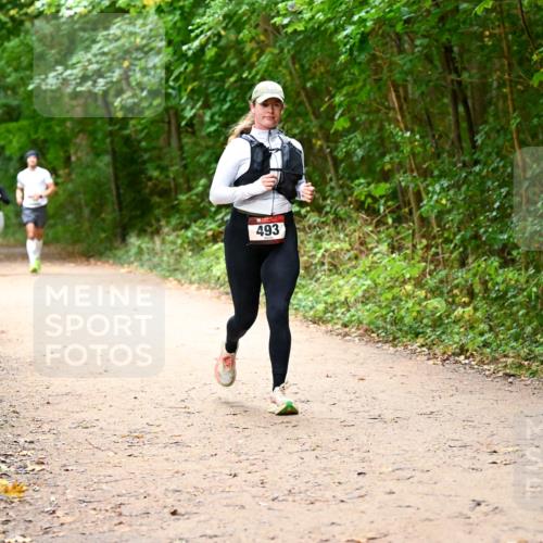 11.10.2026 - Bramfelder Halbmarathon 2026 Dr. Thomas Lammeyer http://msf.ph/oto/10817306 11.10.2026 09:56:59 Laufen 493 meine-sportfotos.de