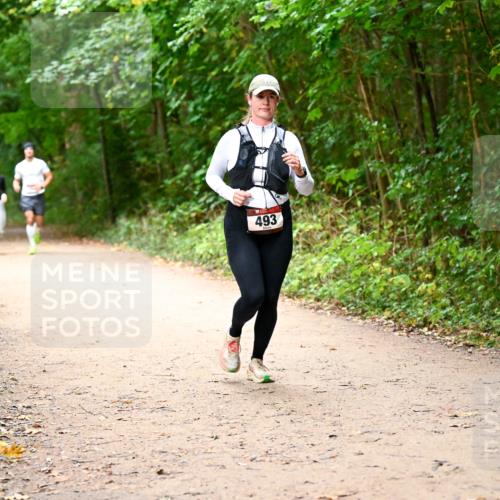 11.10.2026 - Bramfelder Halbmarathon 2026 Dr. Thomas Lammeyer http://msf.ph/oto/10817307 11.10.2026 09:56:59 Laufen 493 meine-sportfotos.de