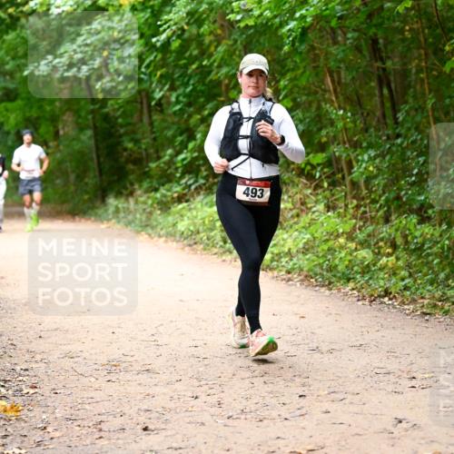 11.10.2026 - Bramfelder Halbmarathon 2026 Dr. Thomas Lammeyer http://msf.ph/oto/10817308 11.10.2026 09:56:59 Laufen 493 meine-sportfotos.de