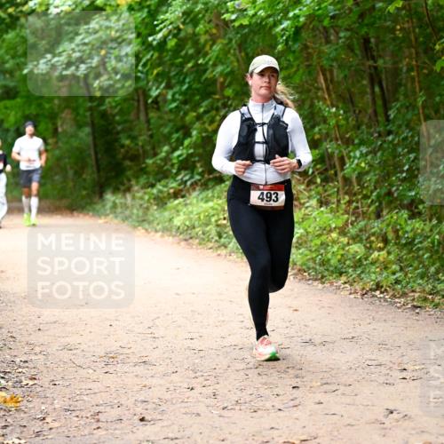 11.10.2026 - Bramfelder Halbmarathon 2026 Dr. Thomas Lammeyer http://msf.ph/oto/10817309 11.10.2026 09:56:59 Laufen 493 meine-sportfotos.de
