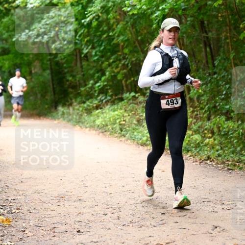 11.10.2026 - Bramfelder Halbmarathon 2026 Dr. Thomas Lammeyer http://msf.ph/oto/10817311 11.10.2026 09:57:00 Laufen 493 meine-sportfotos.de