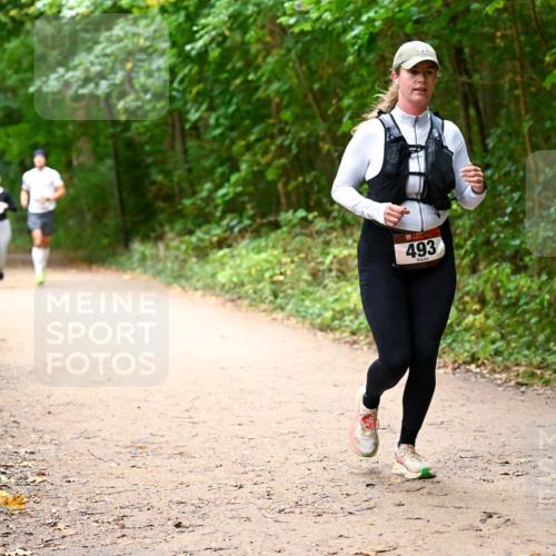11.10.2026 - Bramfelder Halbmarathon 2026 Dr. Thomas Lammeyer http://msf.ph/oto/10817312 11.10.2026 09:57:00 Laufen 493 meine-sportfotos.de