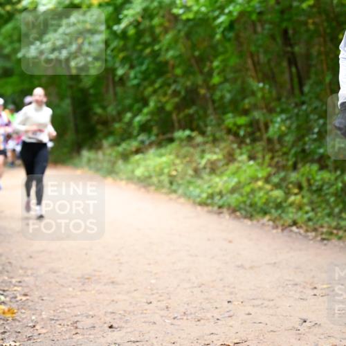 11.10.2026 - Bramfelder Halbmarathon 2026 Dr. Thomas Lammeyer http://msf.ph/oto/10817421 11.10.2026 09:57:22 Laufen 27, 768 meine-sportfotos.de