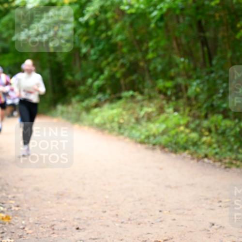 11.10.2026 - Bramfelder Halbmarathon 2026 Dr. Thomas Lammeyer http://msf.ph/oto/10817423 11.10.2026 09:57:22 Laufen  meine-sportfotos.de
