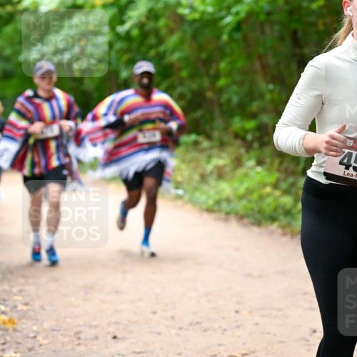 11.10.2026 - Bramfelder Halbmarathon 2026 Dr. Thomas Lammeyer http://msf.ph/oto/10817446 11.10.2026 09:57:26 Laufen 457 meine-sportfotos.de