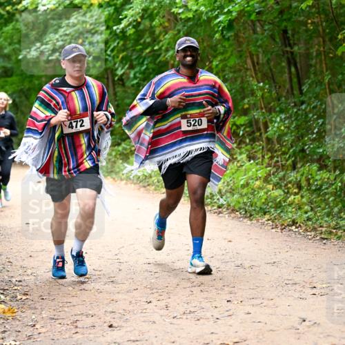 11.10.2026 - Bramfelder Halbmarathon 2026 Dr. Thomas Lammeyer http://msf.ph/oto/10817451 11.10.2026 09:57:27 Laufen 217, 261, 472, 520 meine-sportfotos.de