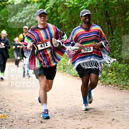 11.10.2026 - Bramfelder Halbmarathon 2026 Dr. Thomas Lammeyer http://msf.ph/oto/10817455 11.10.2026 09:57:27 Laufen 237, 472, 217, 520 meine-sportfotos.de