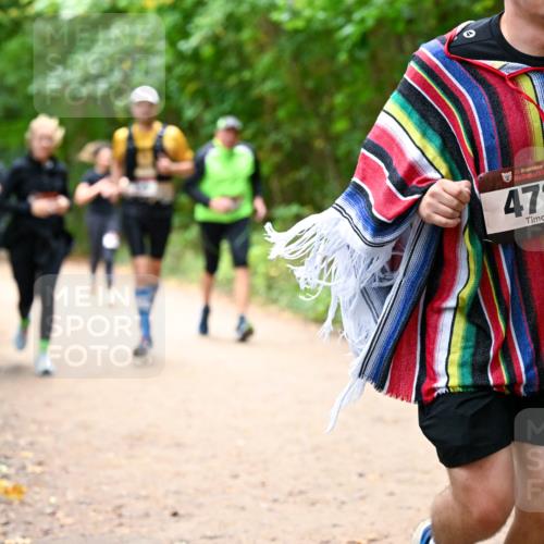 11.10.2026 - Bramfelder Halbmarathon 2026 Dr. Thomas Lammeyer http://msf.ph/oto/10817463 11.10.2026 09:57:28 Laufen 35, 472 meine-sportfotos.de