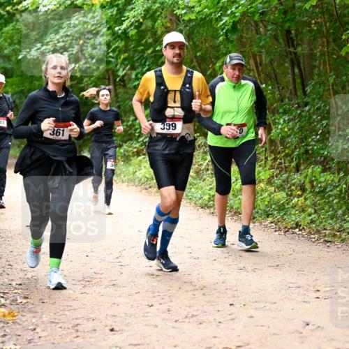11.10.2026 - Bramfelder Halbmarathon 2026 Dr. Thomas Lammeyer http://msf.ph/oto/10817473 11.10.2026 09:57:30 Laufen 541, 361, 50, 359 meine-sportfotos.de