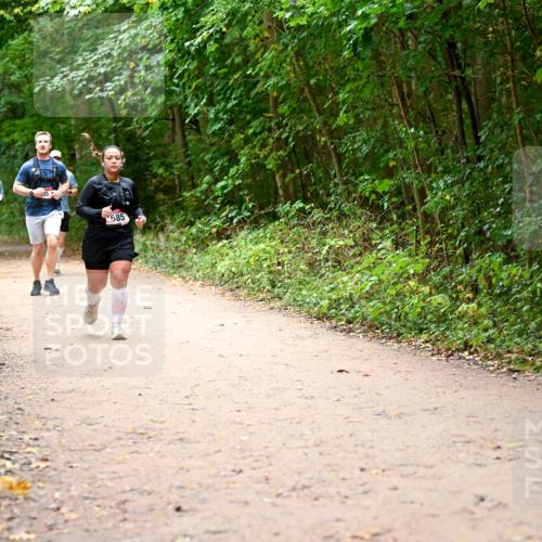 11.10.2026 - Bramfelder Halbmarathon 2026 Dr. Thomas Lammeyer http://msf.ph/oto/10817509 11.10.2026 09:57:45 Laufen 585 meine-sportfotos.de