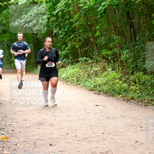 11.10.2026 - Bramfelder Halbmarathon 2026 Dr. Thomas Lammeyer http://msf.ph/oto/10817518 11.10.2026 09:57:47 Laufen 6, 20, 585 meine-sportfotos.de