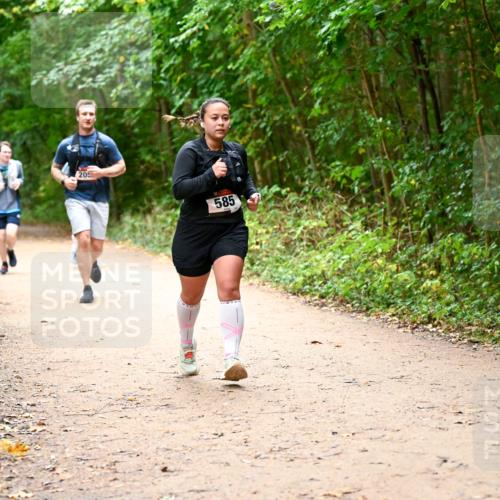 11.10.2026 - Bramfelder Halbmarathon 2026 Dr. Thomas Lammeyer http://msf.ph/oto/10817524 11.10.2026 09:57:47 Laufen 205, 585 meine-sportfotos.de