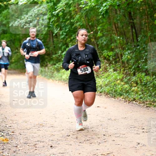 11.10.2026 - Bramfelder Halbmarathon 2026 Dr. Thomas Lammeyer http://msf.ph/oto/10817528 11.10.2026 09:57:48 Laufen 585, 75 meine-sportfotos.de
