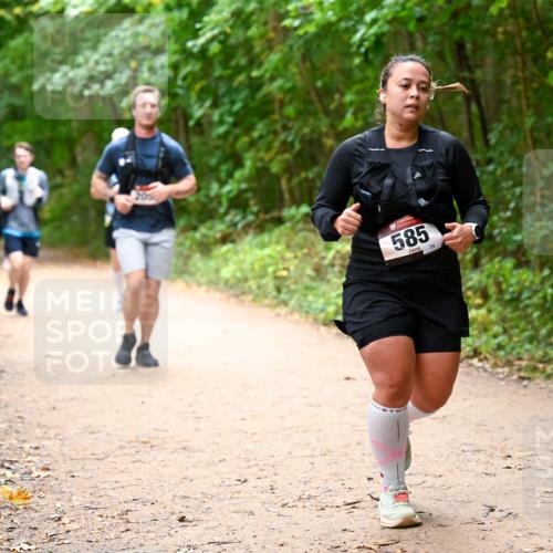 11.10.2026 - Bramfelder Halbmarathon 2026 Dr. Thomas Lammeyer http://msf.ph/oto/10817533 11.10.2026 09:57:49 Laufen 38, 585, 75 meine-sportfotos.de