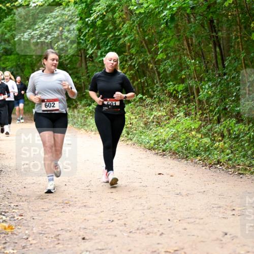 11.10.2026 - Bramfelder Halbmarathon 2026 Dr. Thomas Lammeyer http://msf.ph/oto/10817584 11.10.2026 09:57:57 Laufen 357, 602, 601 meine-sportfotos.de