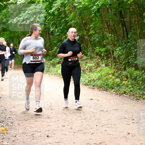 11.10.2026 - Bramfelder Halbmarathon 2026 Dr. Thomas Lammeyer http://msf.ph/oto/10817585 11.10.2026 09:57:57 Laufen 602, 601 meine-sportfotos.de