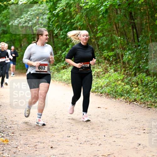 11.10.2026 - Bramfelder Halbmarathon 2026 Dr. Thomas Lammeyer http://msf.ph/oto/10817586 11.10.2026 09:57:57 Laufen 100, 602 meine-sportfotos.de