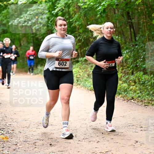 11.10.2026 - Bramfelder Halbmarathon 2026 Dr. Thomas Lammeyer http://msf.ph/oto/10817590 11.10.2026 09:57:58 Laufen 602 meine-sportfotos.de