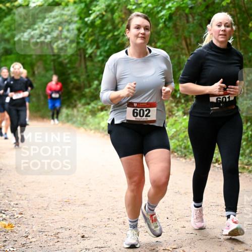11.10.2026 - Bramfelder Halbmarathon 2026 Dr. Thomas Lammeyer http://msf.ph/oto/10817594 11.10.2026 09:57:58 Laufen 602, 601 meine-sportfotos.de