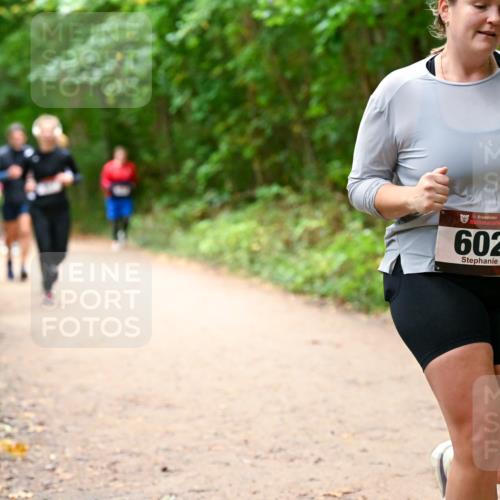 11.10.2026 - Bramfelder Halbmarathon 2026 Dr. Thomas Lammeyer http://msf.ph/oto/10817599 11.10.2026 09:57:59 Laufen 35, 602 meine-sportfotos.de