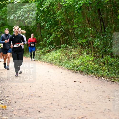 11.10.2026 - Bramfelder Halbmarathon 2026 Dr. Thomas Lammeyer http://msf.ph/oto/10817601 11.10.2026 09:58:00 Laufen 216, 357, 409 meine-sportfotos.de